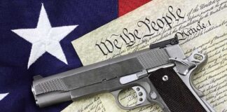 handgun and the constitution