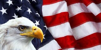 Operation Uncovers Alarming Eagle Deaths, Urges Immediate Conservation Action