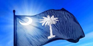The Astonishing Collapse of a South Carolina Legal Giant
