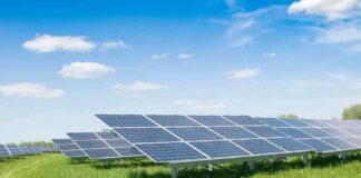 Solar panels in a grassy field under blue sky.