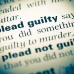 Guilty Plea Reveals Secret Plot on U.S. Soil Definition of "plead guilty" in a dictionary.