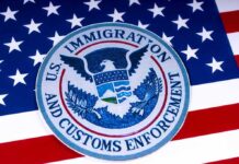 US Immigration and Customs Enforcement badge on flag