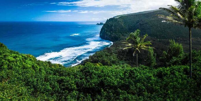 1564351768 featured image Beautiful coastal landscape with lush greenery and ocean waves