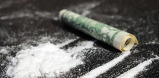 Powder lines, rolled dollar bill on black surface