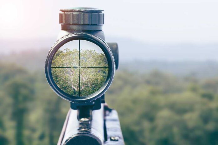 1225045114 featured image Rifle scope aiming at a distant tree.