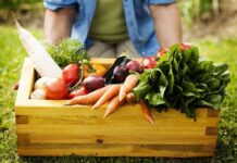A wooden crate filled with various fresh vegetables in a garden