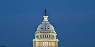 The U.S. Capitol building illuminated at night with American flags displayed