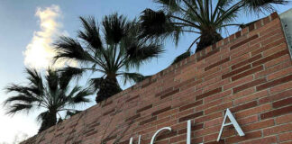 Brick wall with UCLA lettering and palm trees.