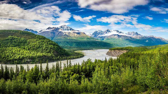 River winding through forest with mountains in background.