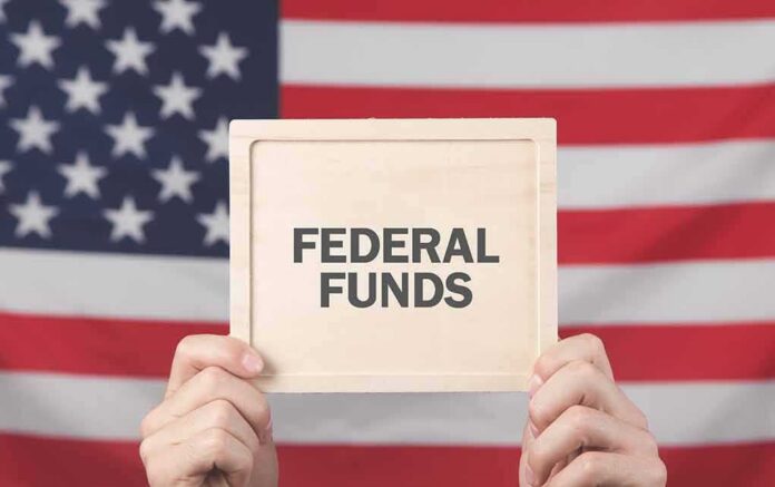 Person holding a sign that reads 'FEDERAL FUNDS' in front of an American flag