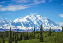 Family HUNTED Across Alaska–Unthinkable OUTCOME Snow-covered mountain under blue sky with green foreground.