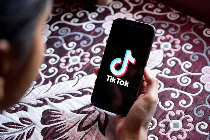 1378101017 Hand holding phone showing TikTok logo.