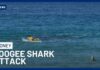 Great White Attack at Sydney Beach Shocks Swimmers Shark Attack At Coogee Beach Leaves Swimmer Fighting For Life | 10 News