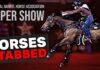 Horses Attacked at NBHA Vegas Super Show