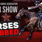 Teen Arrested in Las Vegas Horse Stabbing Incident Horses Attacked at NBHA Vegas Super Show