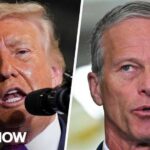 'Completely dividing Republicans': Trump and Senate GOP clash over SAVE Act