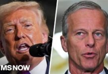'Completely dividing Republicans': Trump and Senate GOP clash over SAVE Act