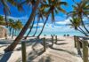 Resort Horror: Man Killed by Crocodile as Rescue Falls Apart Tropical beach with palm trees and clear blue water