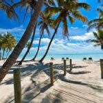 Resort Horror: Man Killed by Crocodile as Rescue Falls Apart Tropical beach with palm trees and clear blue water