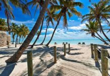 Tropical beach with palm trees and clear blue water