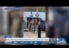 DHS identifies woman arrest by ICE as drug trafficker