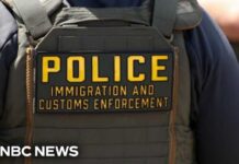 Tourist With Valid U.S. Visa Killed In Florida Man killed while fleeing ICE officers in Florida