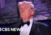 The Dinner That Ended in Gunfire Is Back Watch Live: Trump returns to White House Correspondents’ Dinner after April shooting