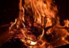 Dry pine branches burning in bright orange flames