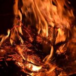 Dry pine branches burning in bright orange flames