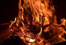 Flames Closing In: Spain’s Megafire Expands Dry pine branches burning in bright orange flames