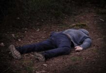 person lying face down on a forest path