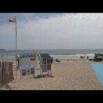 Shark activity in Scarborough Beach causes a close call for lifeguard