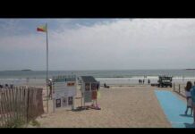 Shark activity in Scarborough Beach causes a close call for lifeguard