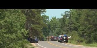 6 dead, including suspect, in series of killings in Michigan