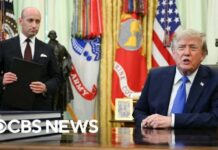Are Trump's new executive orders targeting birthright citizenship constitutional?