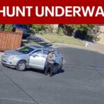 Surveillance video captures fatal stabbing of Martinez man