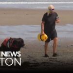 Shark drags lifeguard underwater at Scarborough Beach in Maine