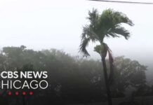 Hurricane Lala hits Hawaii