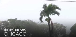 Hurricane Lala hits Hawaii