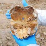 Stone-Age Shocker Unearthed: Plague Struck Years Ago Human skull fragment with teeth held by gloved hands