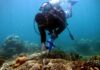 scuba diver measuring coral reef with tape