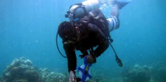 scuba diver measuring coral reef with tape